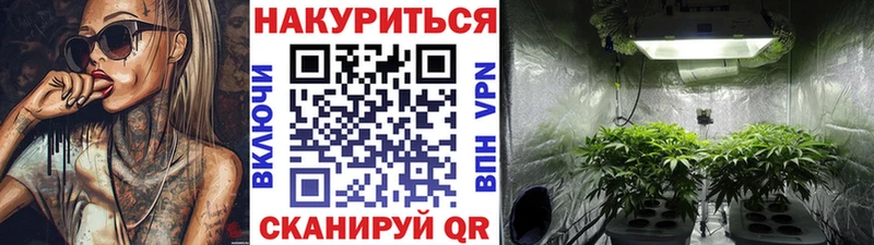 Марихуана гибрид  Дубна 